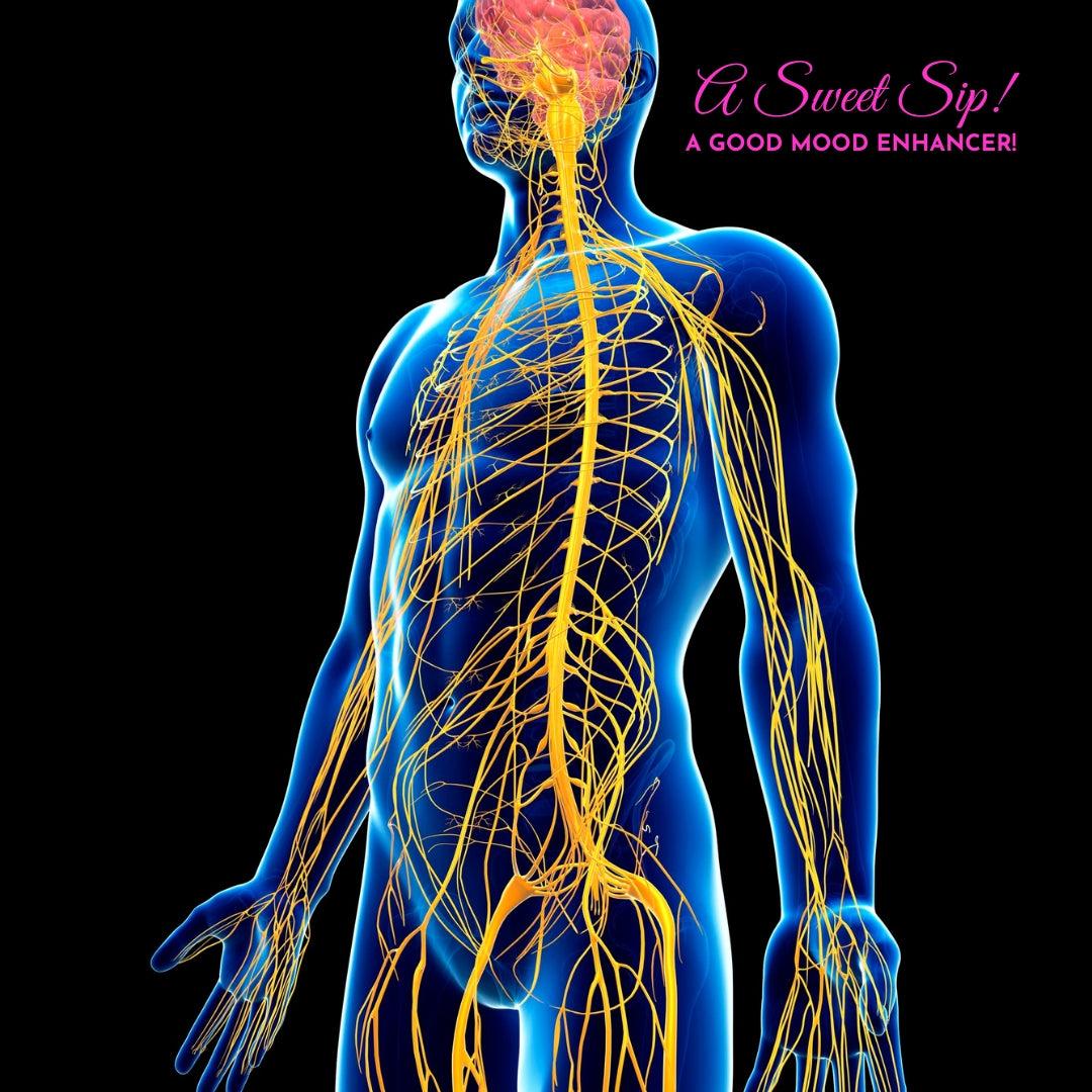 Exploring CBD: How It Works with Your Endocannabinoid System for Natural Balance