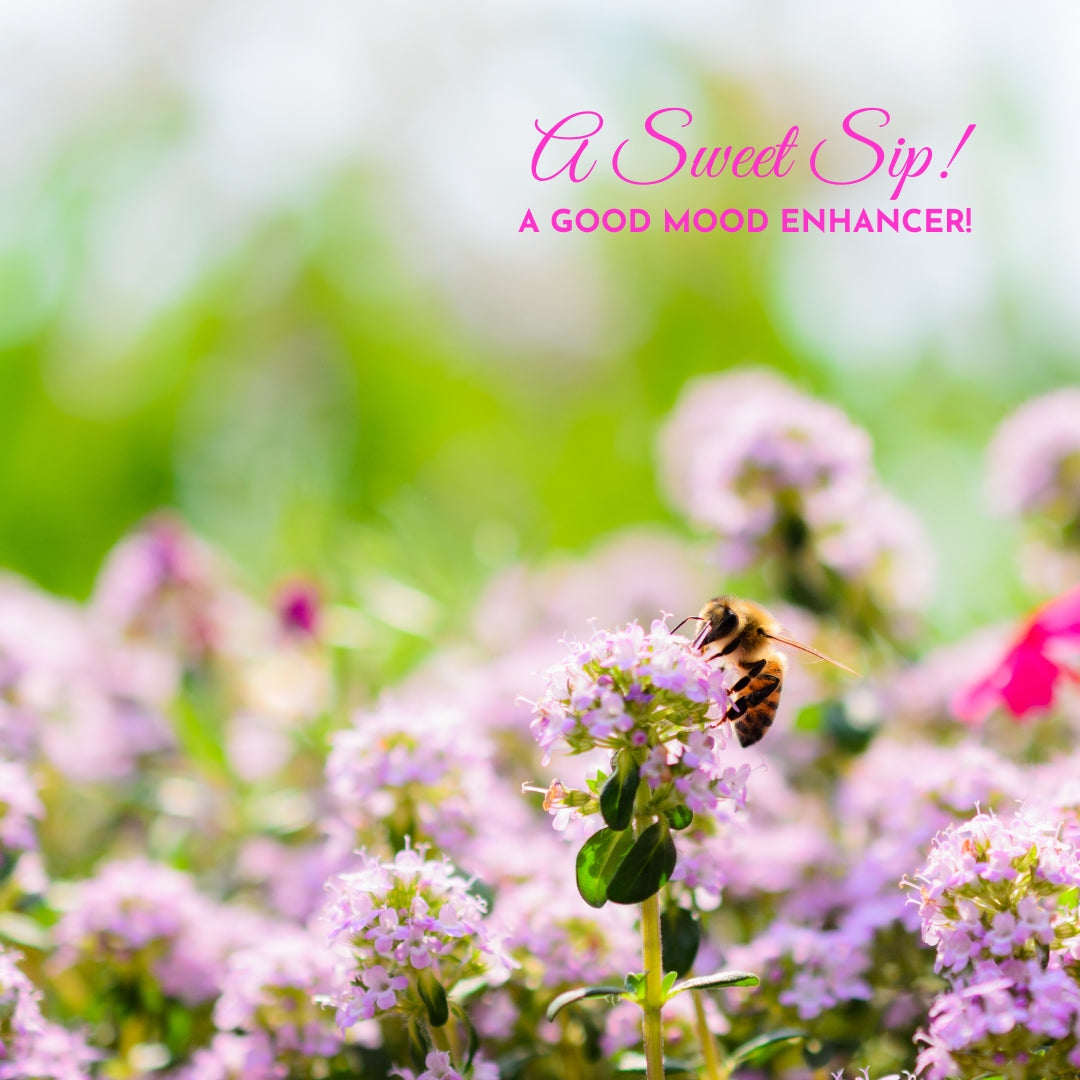 Sweet Serenity: Discover the Calm Delight of Our CBD Honey Sticks