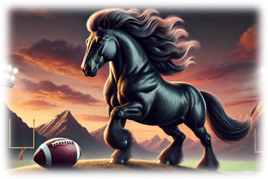 "Bronco Country" designed by ASScoozie